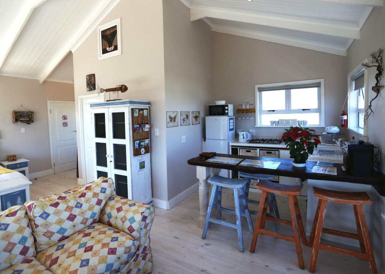 Reddoor Studio Pringle Bay Kültér fotó